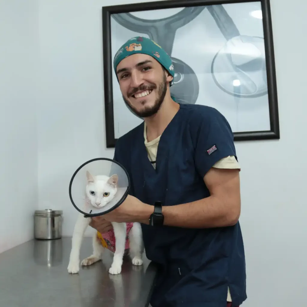 doctor-chito-con-gato-con-bozal